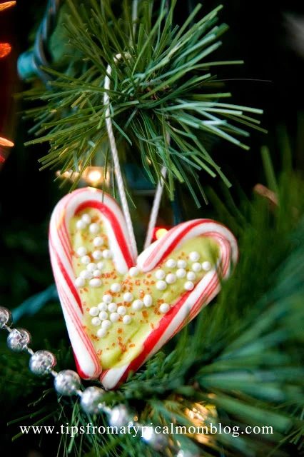 19 Diy Edible Christmas Ornaments Tips From A Typical Mom Bekob