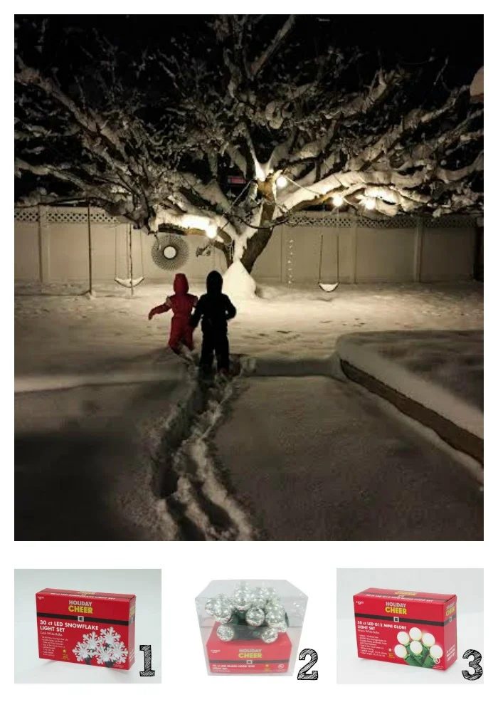 Backyard Lights 16