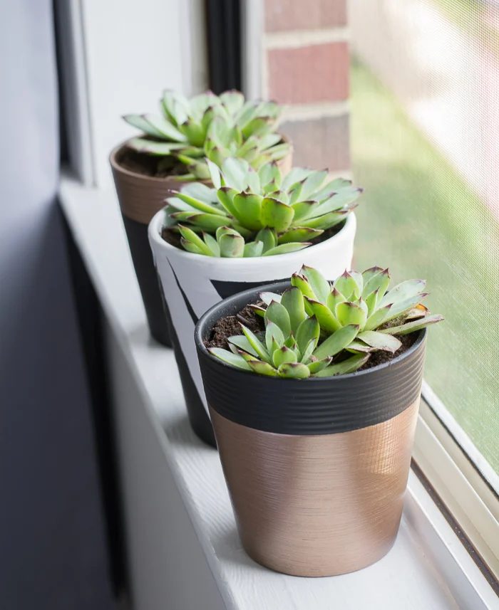Handmade Plant Pots By Brittany Goldwyn