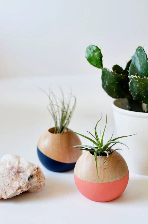 Handmade Plant Pots Cakies