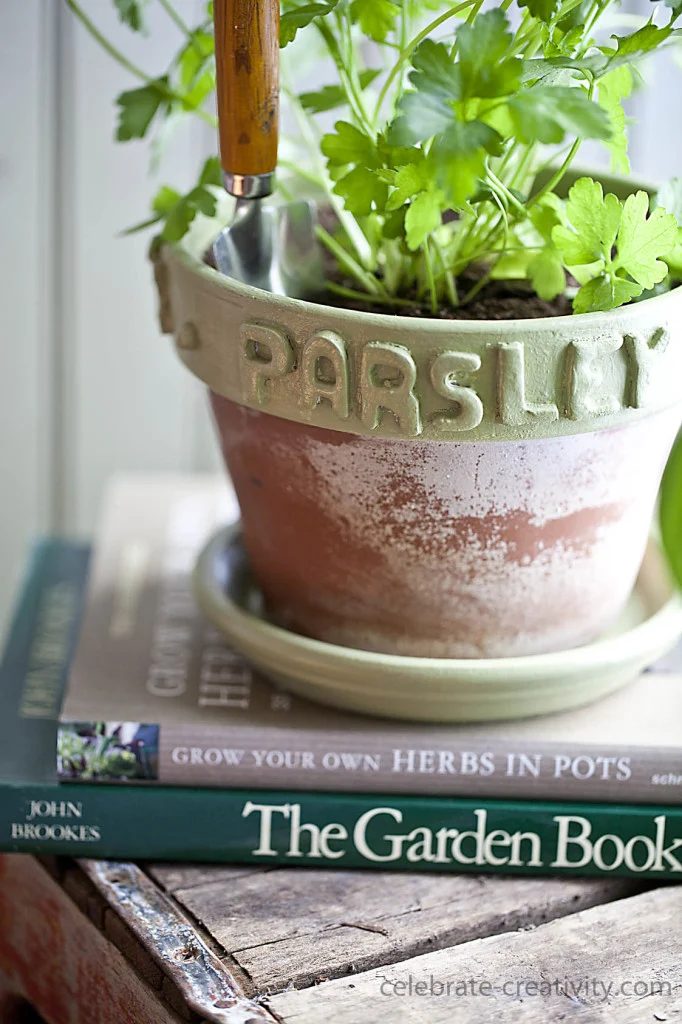 Handmade Plant Pots Celebrate Creativity