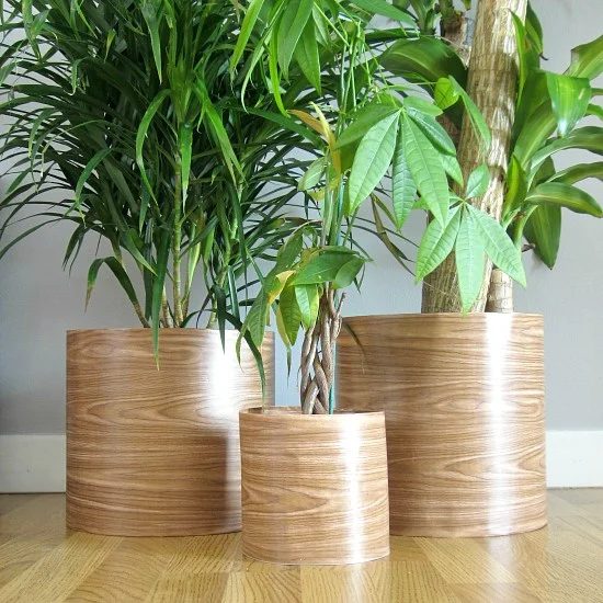 Handmade Plant Pots Two Plus Cute