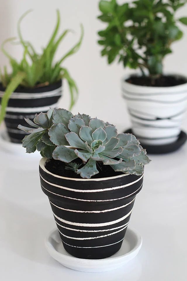 Handmade Plant Pots We Can Make Anything