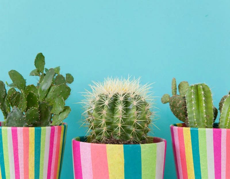 20 memorable Handmade Plant Pots