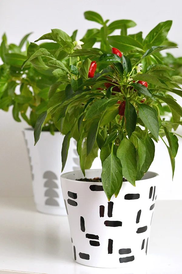 Handmade Plant Pots Make And Tell