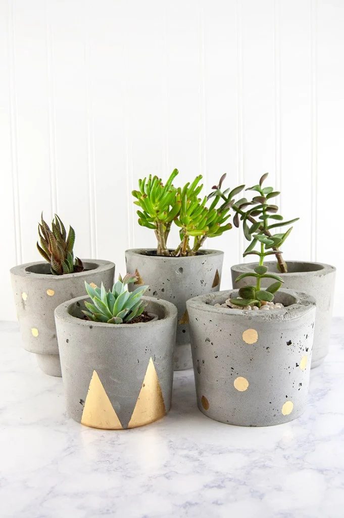 Handmade Plant Pots Handmade In PDX