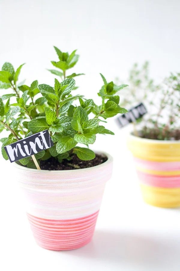 Handmade Plant Pots Bash Studio