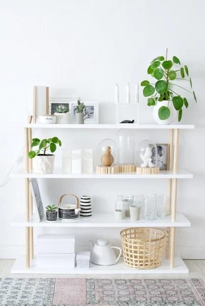 White Walls, Wall Shelves With Gold Accent, Green Plants And White Frames
