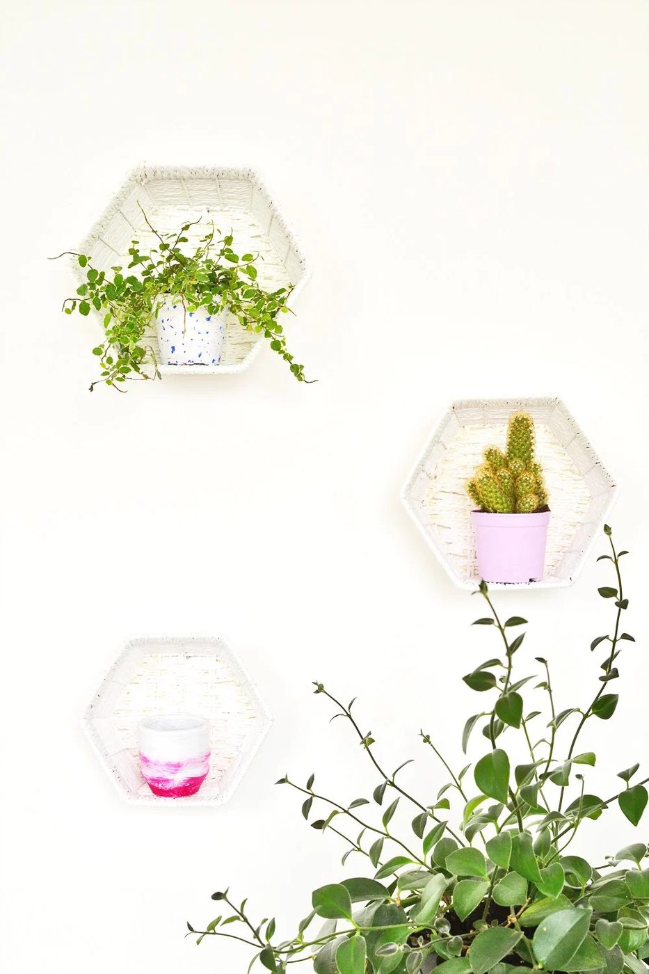Handmade Shelving Enthralling Gumption