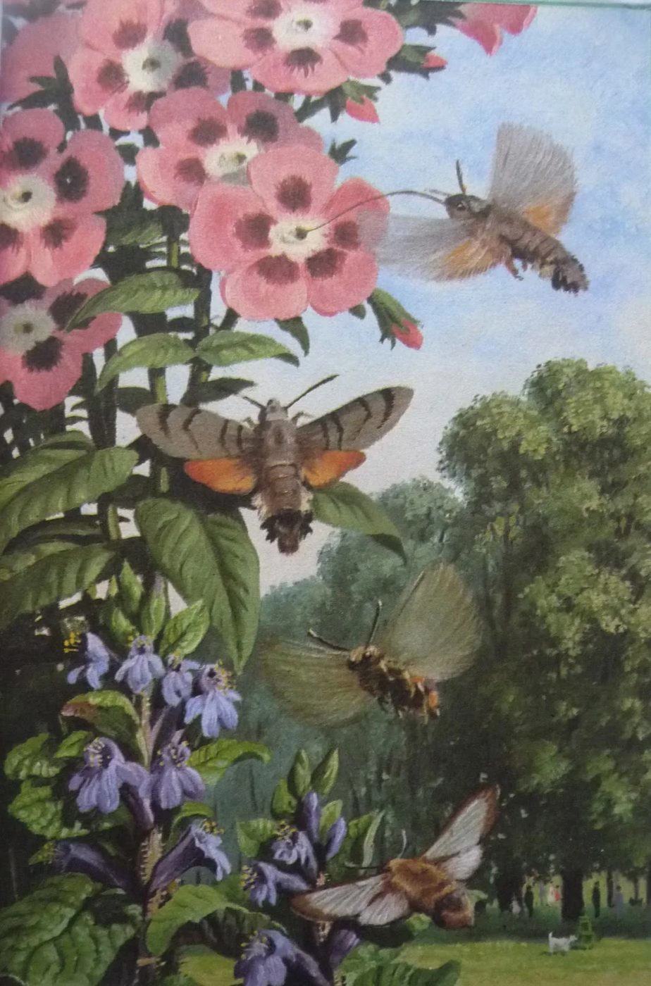 Bees mean spring! Love the pink flowers | 20 free vintage printable images for spring on Bekob.com