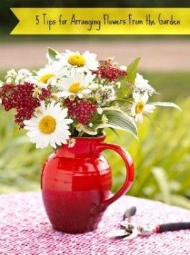 Red Ceramic Pitcher With Daisies, Red Berries, And Greenery Arrangement On An Outdoor Table