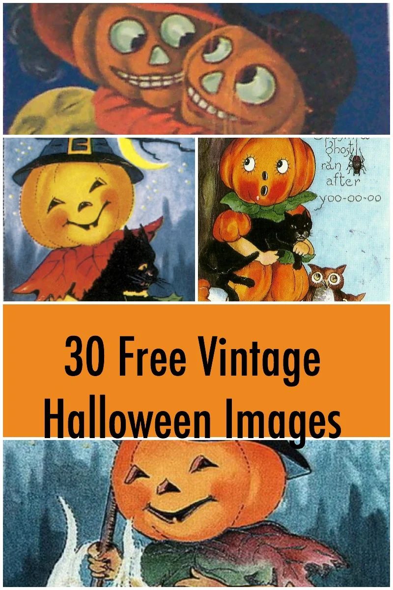 halloween-800x1200