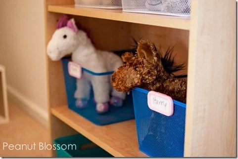 Peanut Blossom Vet corner