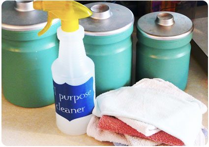 Handmade Disinfectant Spray The Krazy Coupon Lady