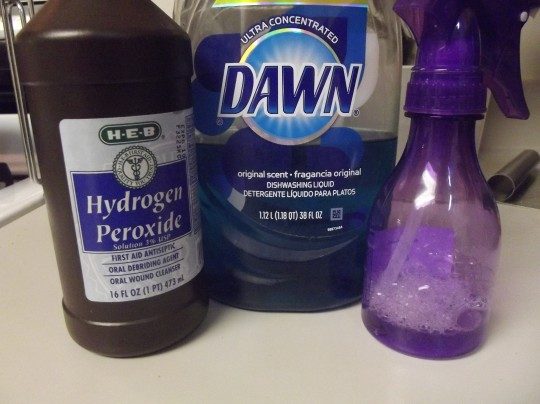 Homemade Miracle Cleaner Modern Day Moms