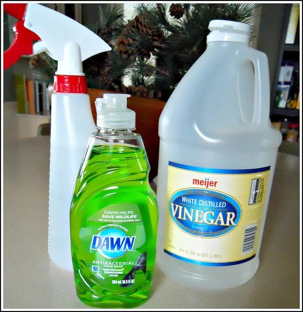 Shower Cleaner direct Organized Living