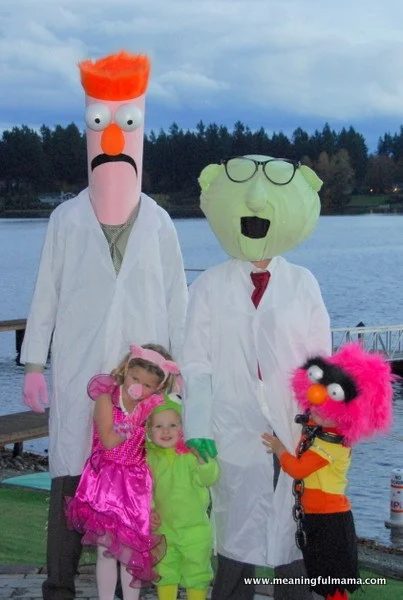 Family Muppets Costumes 1 Meaningful Mama