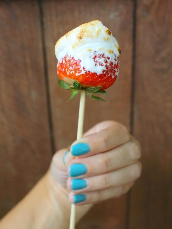 Camping Recipes The Homespun Hydrangea