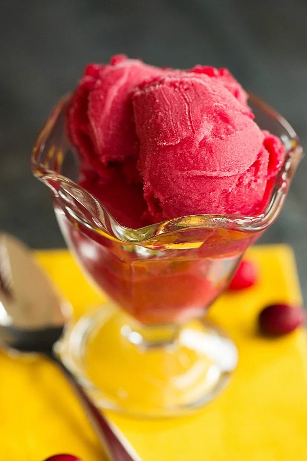 Cranberry Sorbet Brown Eyed Baker