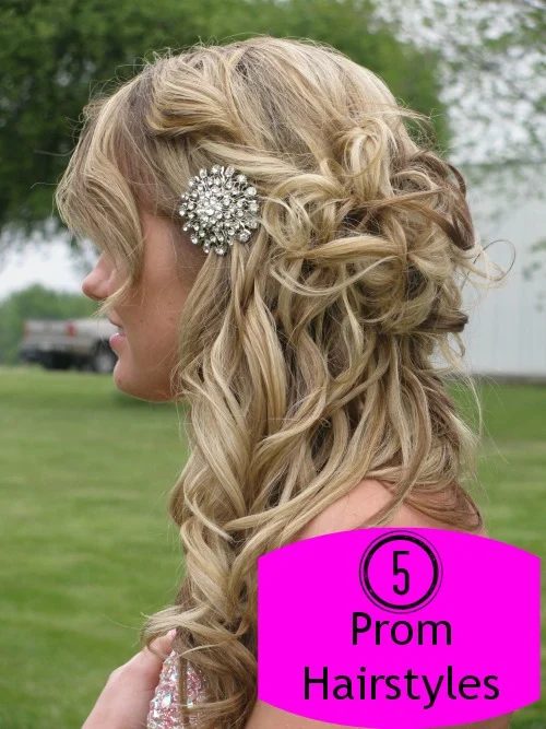 5 Prom Hairstyles - Tipsaholic.com