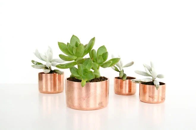 Copper Succulent Planters