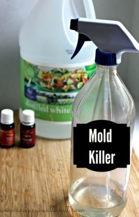 mold-killer