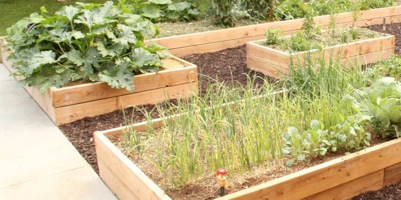 Custom Raised Garden Boxes