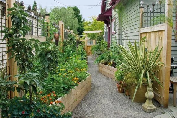 Driveway Turned Edible Garden