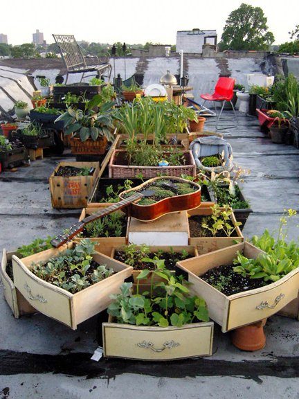 Salvaged Rooftop Garden