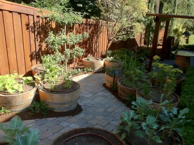 Wine Barrel Garden