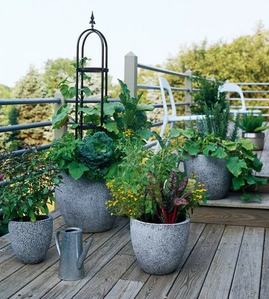 Concrete Container Garden