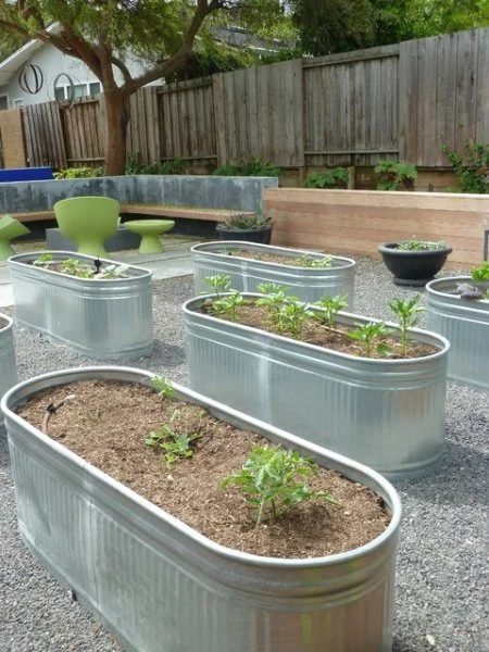 Eclectic Modern Garden