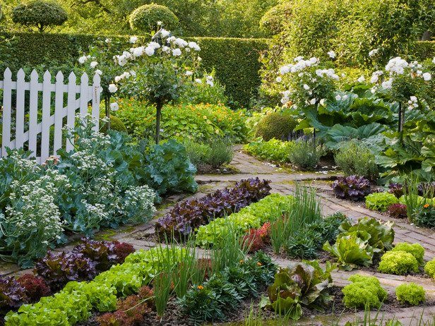 Geometric Garden