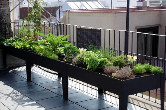 Planting Table Garden