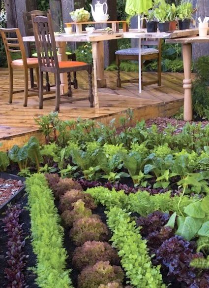 Cottage Garden