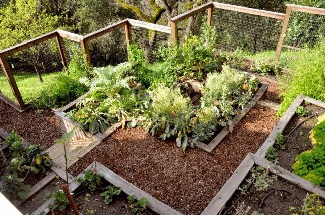 Terraced Edible Garden