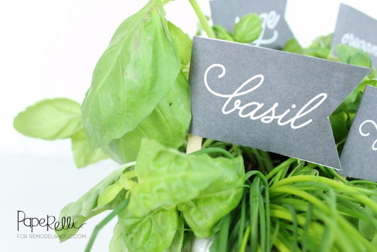 Green Herb With White Background And Cute Name Tag Labeled Basil