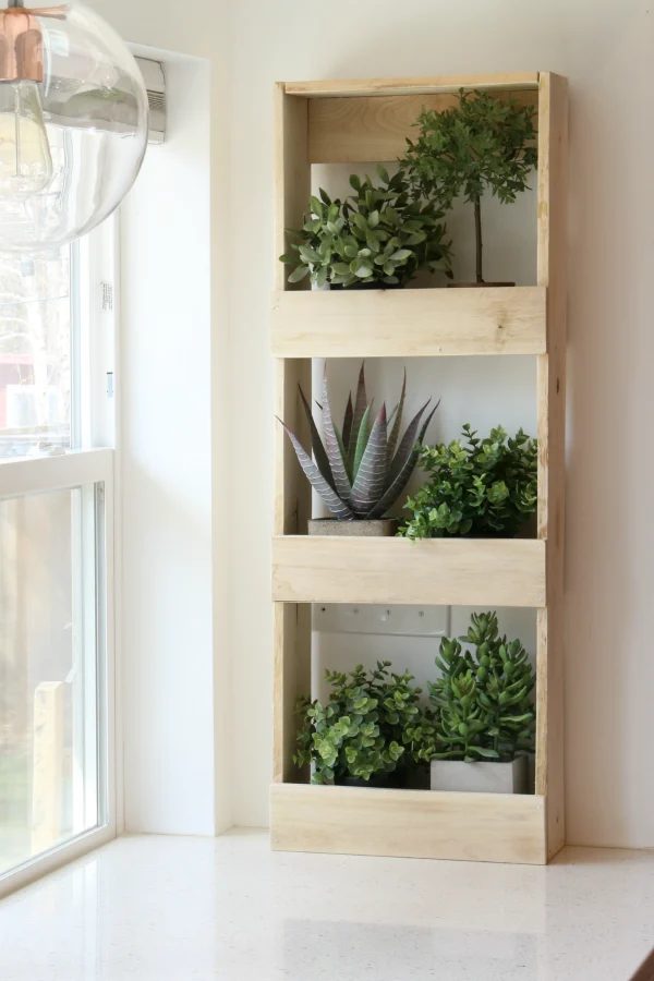 Wall Bins With Plant Shelves For Greenery In Your Home