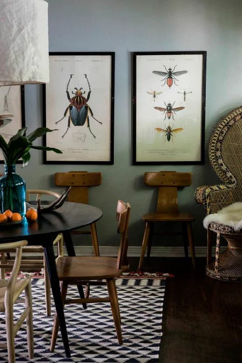 Enlarged vintage insect prints make such cool art!
