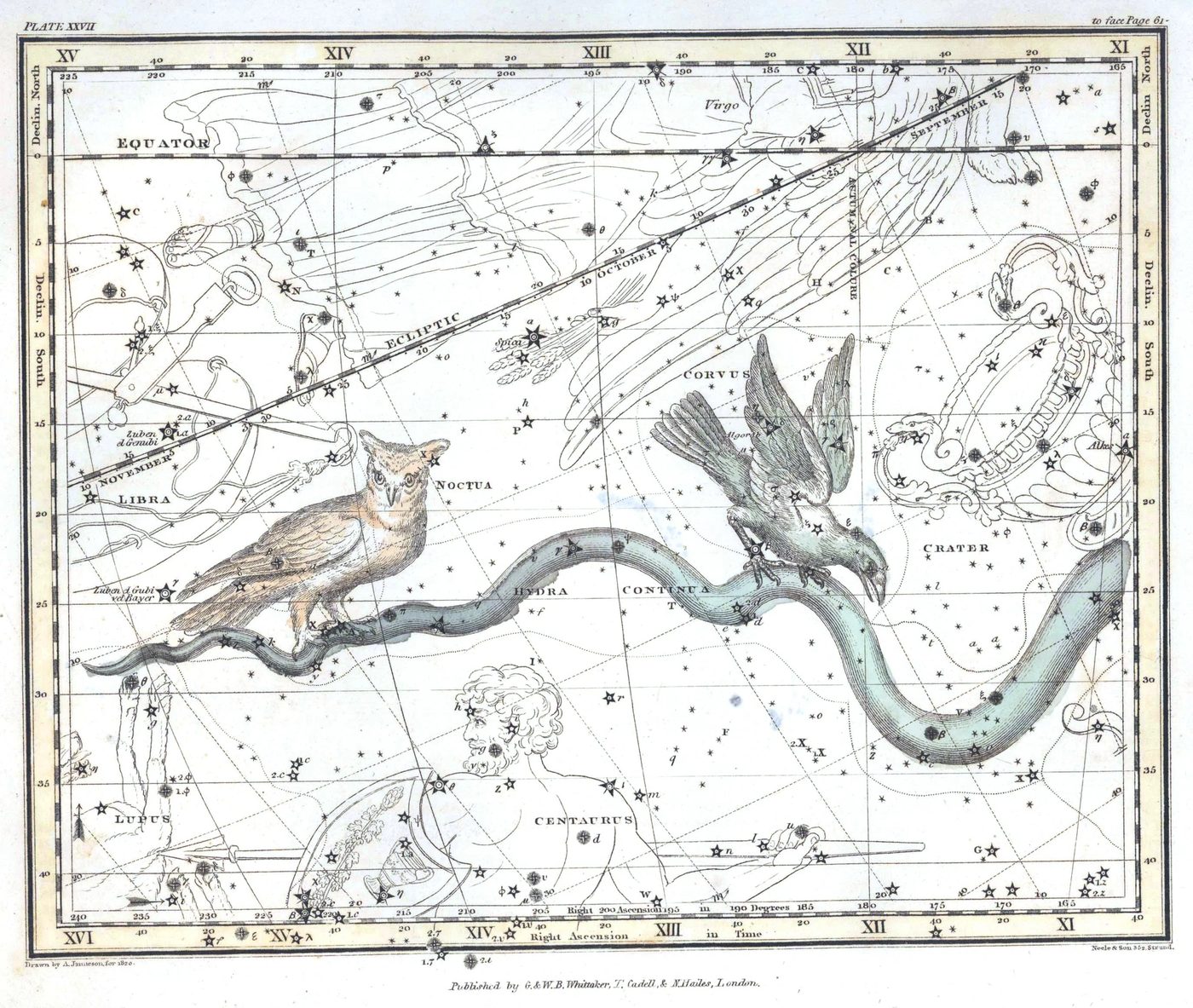 25+ Free Vintage Astronomy Printable Images | Bekob.com #printable #art #astronomy
