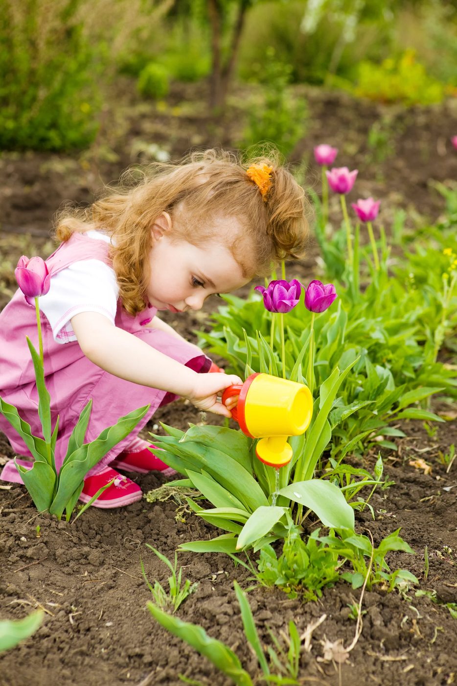 25 options for Gardening With Kids