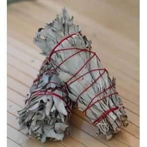 Amazon sage smudge