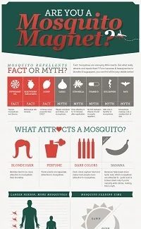 Are You A Mosquito Magnet Infographic From Visually Featured On Bekob