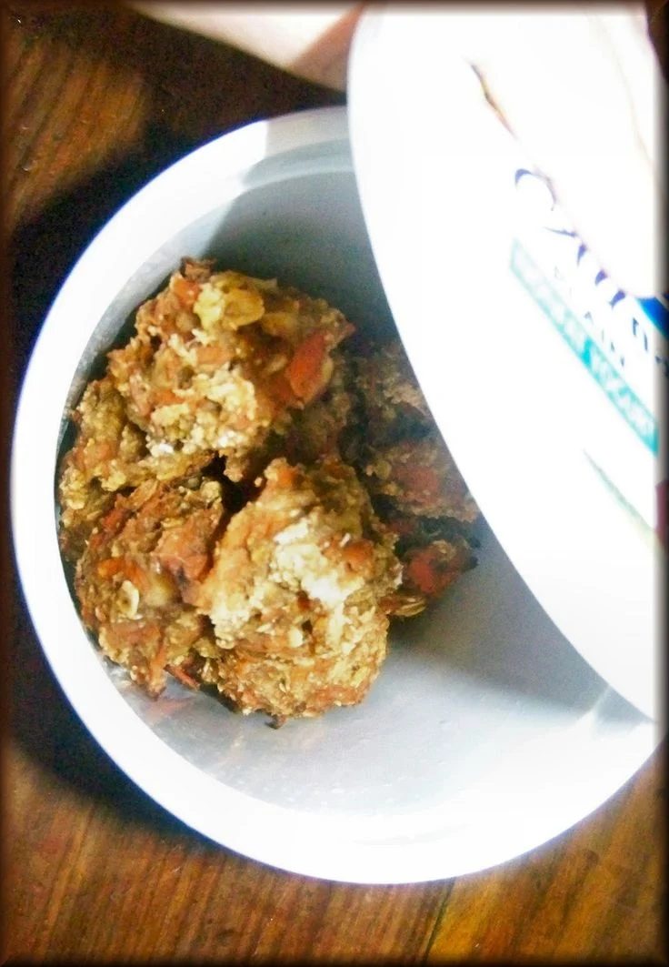 Cooking homemade snacks for pets is one way to show them how much we love them! Here are 25 homemade snacks for dogs, cats, birds, rabbits, and hamsters. Homemade Pet Treats via @t
