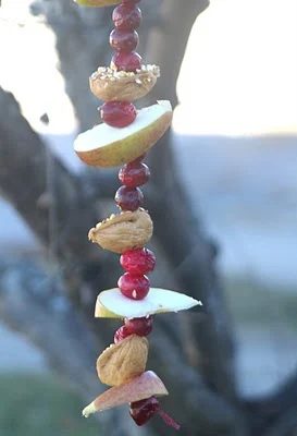 Cooking homemade snacks for pets is one way to show them how much we love them! Here are 25 homemade snacks for dogs, cats, birds, rabbits, and hamsters. Homemade Pet Treats via @t