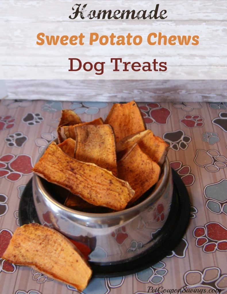 Cooking homemade snacks for pets is one way to show them how much we love them! Here are 25 homemade snacks for dogs, cats, birds, rabbits, and hamsters. Homemade Pet Treats via @t