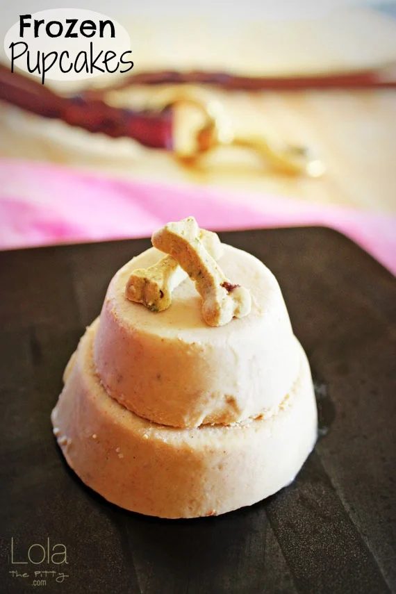 Cooking homemade snacks for pets is one way to show them how much we love them! Here are 25 homemade snacks for dogs, cats, birds, rabbits, and hamsters. Homemade Pet Treats via @t