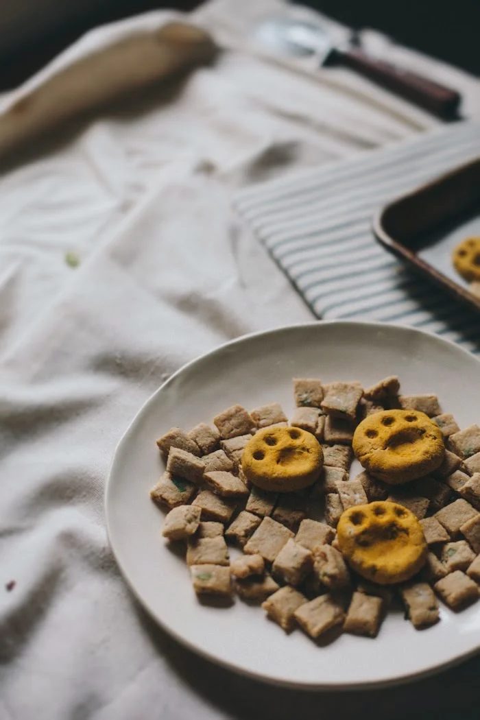 Cooking homemade snacks for pets is one way to show them how much we love them! Here are 25 homemade snacks for dogs, cats, birds, rabbits, and hamsters. Homemade Pet Treats via @t