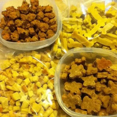 Cooking homemade snacks for pets is one way to show them how much we love them! Here are 25 homemade snacks for dogs, cats, birds, rabbits, and hamsters. Homemade Pet Treats via @t
