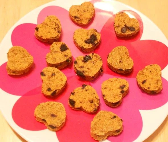 Cooking homemade snacks for pets is one way to show them how much we love them! Here are 25 homemade snacks for dogs, cats, birds, rabbits, and hamsters. Homemade Pet Treats via @t
